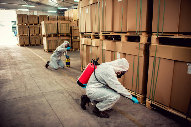 Reliable Sewalls Point, FL Pest Control Solutions