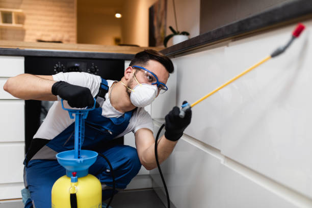 Best Flea Control Services  in Sewalls Point, FL