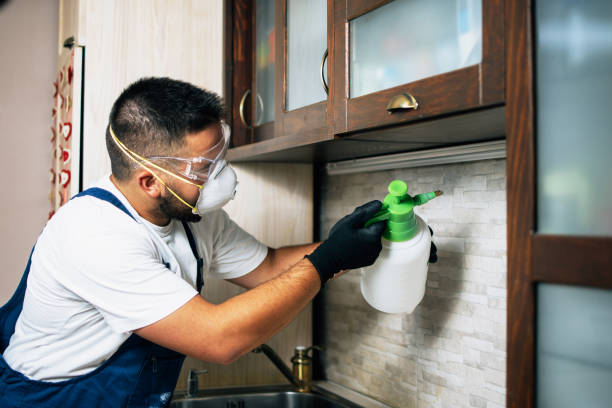Pest Prevention Services in Sewalls Point, FL