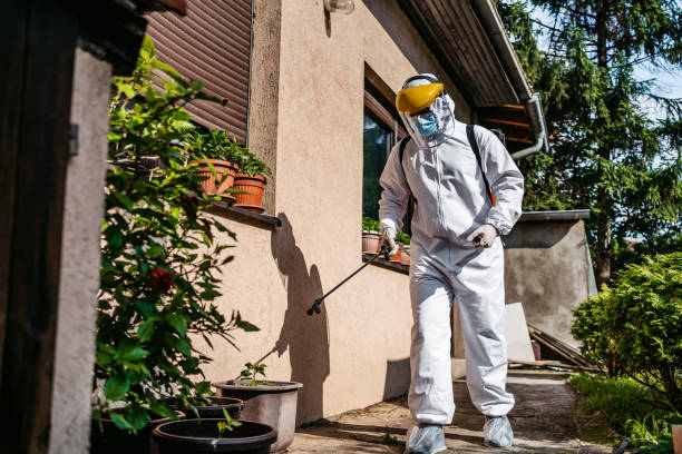 Best Pest Prevention Services  in Sewalls Point, FL