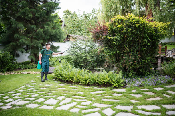 Best Mosquito Control Services  in Sewalls Point, FL