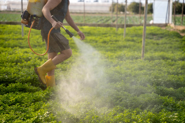 Best Affordable Pest Control Services  in Sewalls Point, FL
