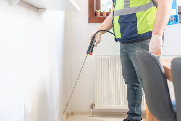 Best Wasp Removal Services  in Sewalls Point, FL
