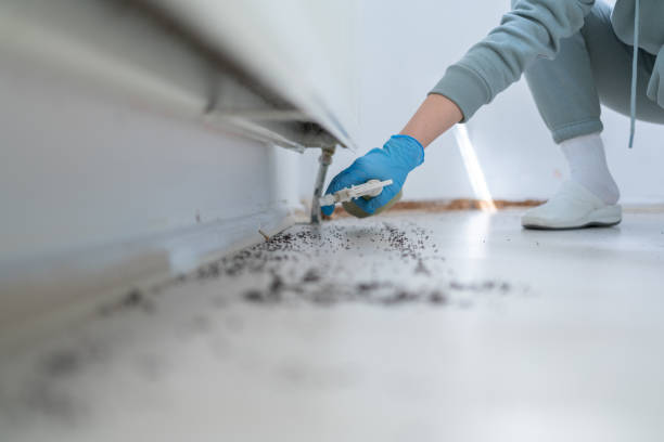 Best Best Pest Control Companies  in Sewalls Point, FL